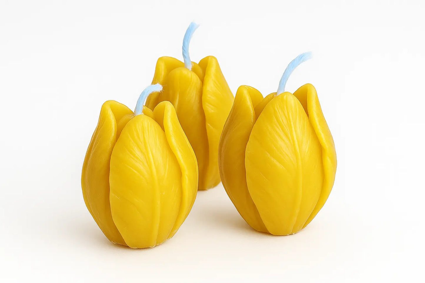 Små Tulipanformede Bivokslys BIELYS.NO
