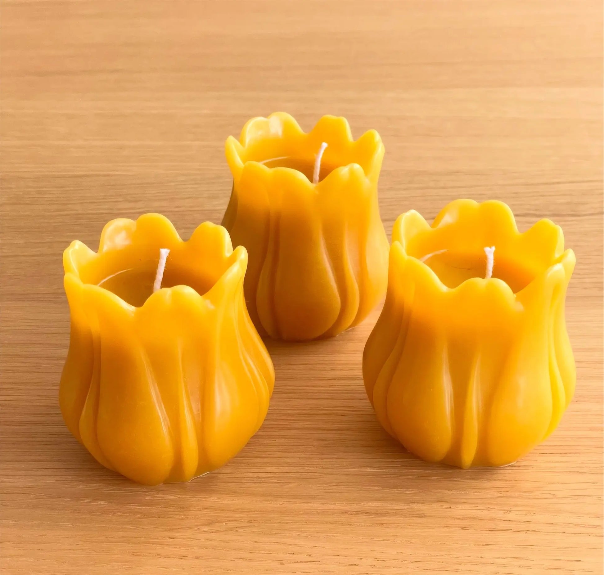 Bivokslys - Tulipan BIELYS.NO